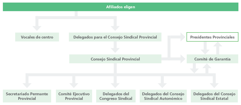 Estructura Provincial
