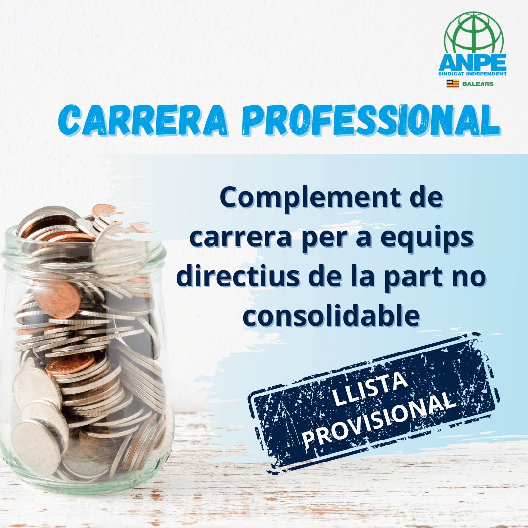 carrera-professional--2-