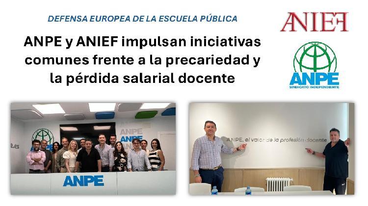 anpe-anief