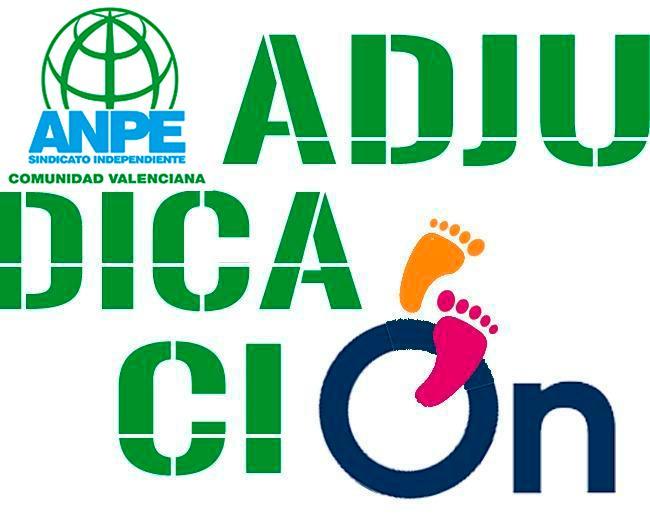 anpecvadjudicaciones