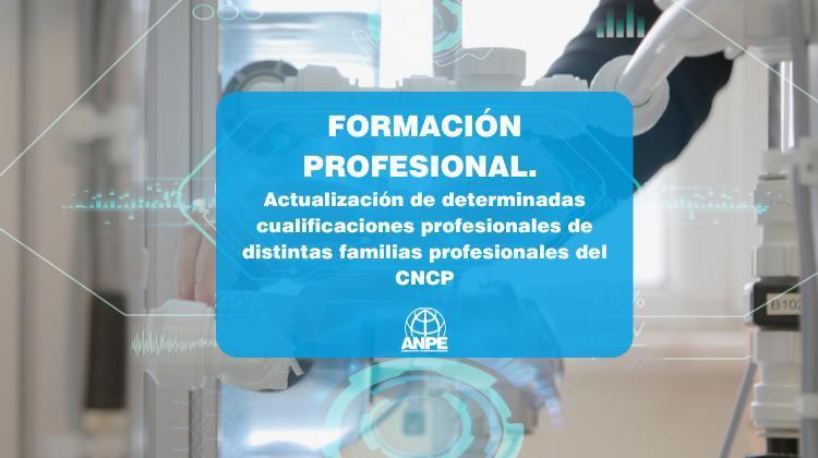 formacion_profesional_actualizacion_cualificacione