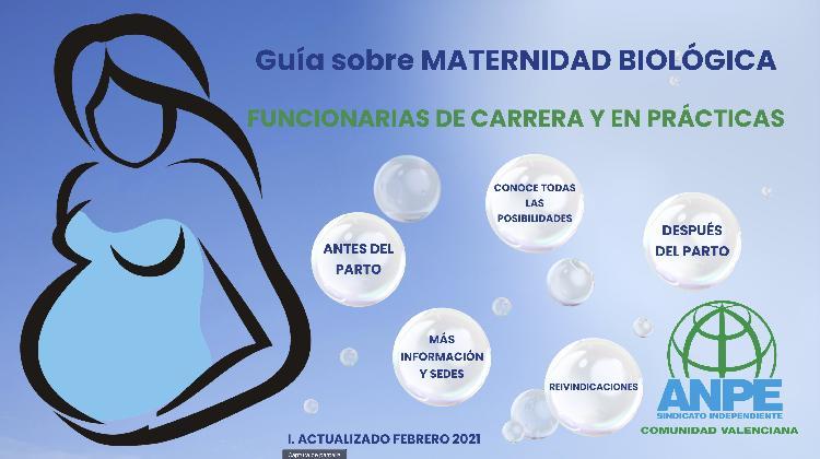 guia_maternidad_funcionarios_educacion_cv