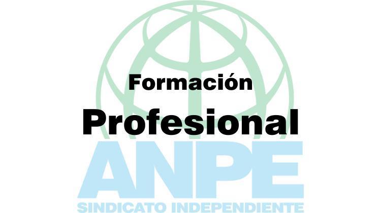 anpe_formacion_profesional