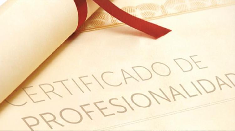 certificado_de_profesionalidad_formacion_profesion
